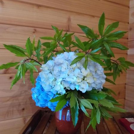 Quinta Da Pavoa - Cottage House 빌라플렝카드켐포 외부 사진