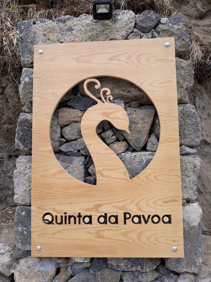 Quinta Da Pavoa - Cottage House 빌라플렝카드켐포 외부 사진