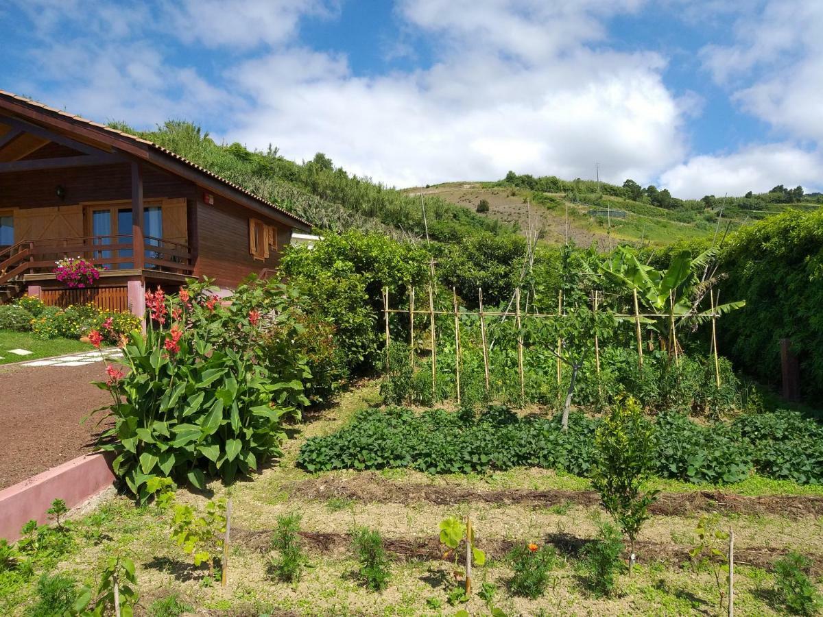 Quinta Da Pavoa - Cottage House 빌라플렝카드켐포 외부 사진