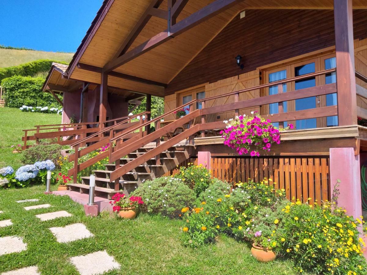 Quinta Da Pavoa - Cottage House 빌라플렝카드켐포 외부 사진